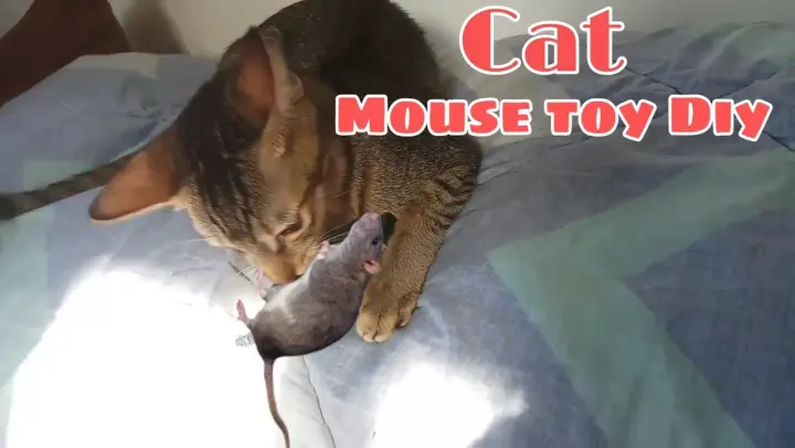 Diy Cat mouse toy!