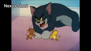 Tom & Jerry (Ep 34.3) Kitty Foiled (phần 3) #TomandJerry