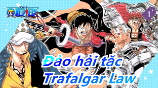 [Đảo hải tặc]Trafalgar Law/Hoành tráng & Mashup Chạm_1