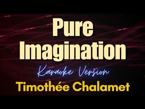 Pure Imagination - Timothée Chalamet (Karaoke) (Short Version)
