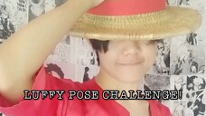 Luffy Pose 🗿