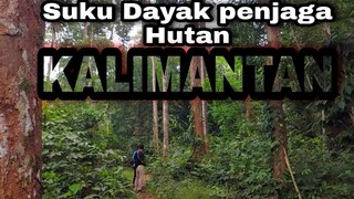 Bertemu suku Dayak penghuni hutan || yang penuh binatang buas