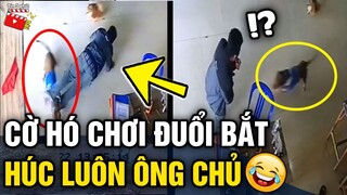 Tin 3 Phút Hài | Tổng hợp tình huống 'HÀI ĐỘNG VẬT' không cười không lấy tiền P23