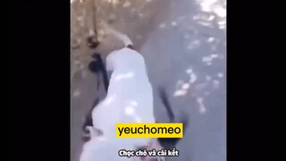 thử thách nín cười😅