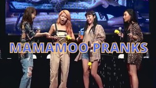 MAMAMOO PRANKS