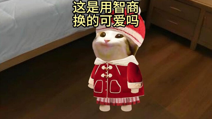 这是用智商换的可爱吗