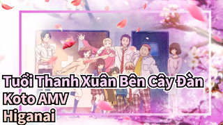 [Tuổi Thanh Xuân Bên Cây Đàn Koto AMV] Higanai_3