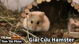 Giải cứu Hamster | Chú chuột thông minh và 2 anh chủ nhà ngốc nghếch