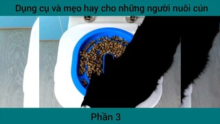 Dụng cụ và mẹo hay cho những người nuôi cún #3