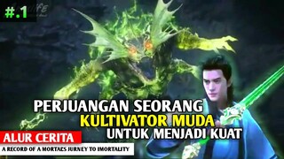 PERJALANAN MENJADI KUAT || alur cerita a record of a mortal's jorney to immortality