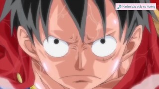 Harlan bậc thầy xu hướng - Review - Mối Liên Hệ Giữa wano và JoyBoy #anime #schooltime