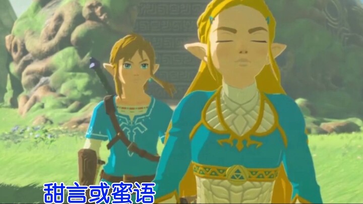 【Zelda】Sister is the Queen
