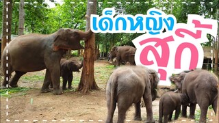 elephant|baby elephant|seki|มาแวะเที่ยวหาน้องสุกี้ พร้อมกับอากาศบริสุทธิ์ และธรรมชาติที่สวยงาม🐘🌳🍃