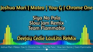 SIYA NA PALA ( SLOW JAM REMIX ) CEDIE LAULITA | TEAM FLAMMABLE