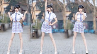 【南下】Roly Poly~又藏在哪儿呀~