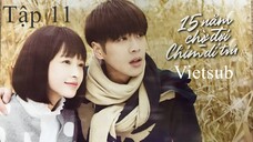 Mười Lăm Năm Chờ Đợi Chim Di Trú - Tập 11 | Vietsub