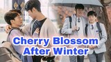 Cherry Blossom After Winter Will Come To Us This February!!