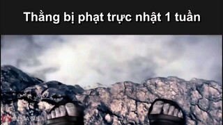 Trực nhật kiểu(Nguồn Mega me)