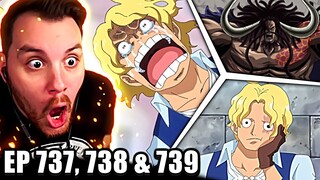 KAIDO HAS ARRIVED! | One Piece REACTION Episode 737, 738 & 739