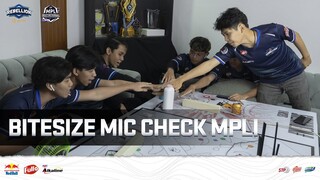 MPLI BITESIZE MIC CHECK