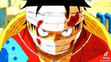 The pirate king Luffy the JoyBoy