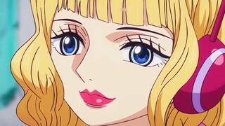 Sanji was deliberately vilified and deleted by the animation team, and "Todai-san" was collectively 