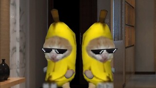 Disappeared parents