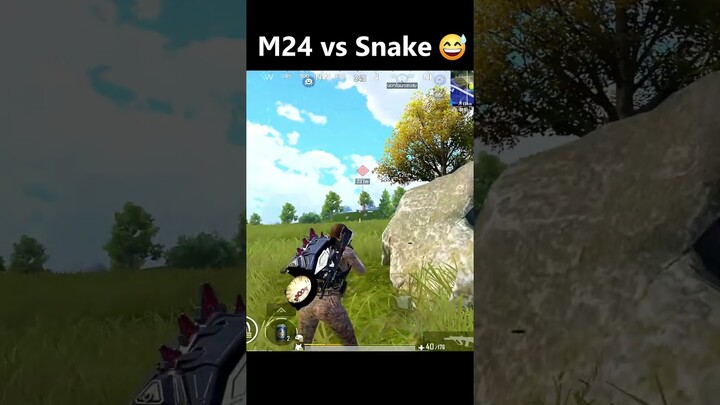M24 vs งู? 😅