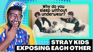 Baby Stay REACTS to Stray Kids Exposing Each Other | REACTION