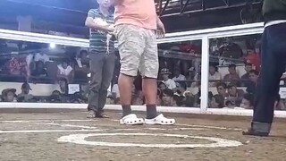 2 x winner white kelso