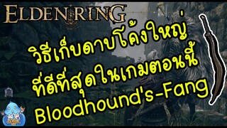ELDEN RING【TIP】- วิธีเก็บดาบโค้งใหญ่ที่เทพสุดในตอนนี้!!