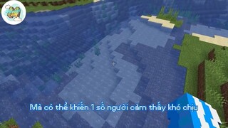 Tàng hình dưới nước #minecraftvietnam