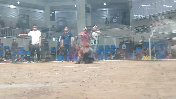 champion tyo sa del monte cockpit 2hits ulutan.