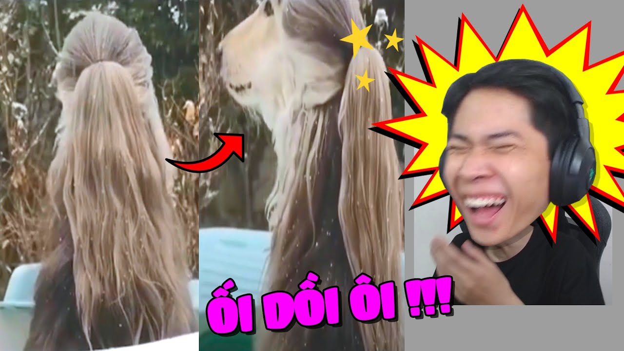 REACTION TOÀN BỘ 999 CẤP ĐỘ TRONG THE BACKROOMS !!! (Pobbrose The