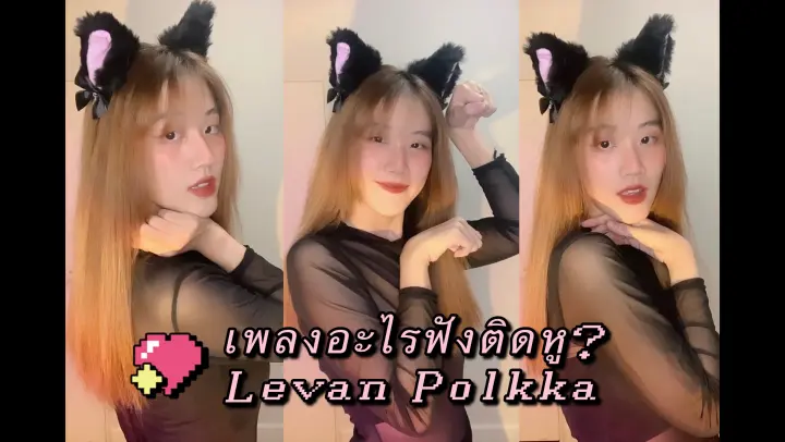 เพลงอะไรน้าาาฟังติดหู? Levan Polkka 😆💖 - ธีมชุดแมวสุดแซ่บ
