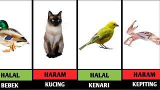 DAGING HEWAN HALAL & HARAM DALAM ISLAM