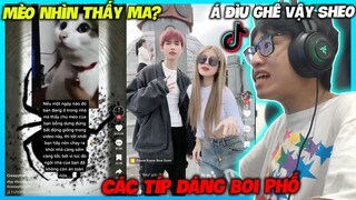 MÈO NHÌN THẤY MA CỰC ẢO VÀ CÁC TIP ĐÁNG BOI PHỐ NGÂN HÀ KIỀU DUY LONG | HÙNG AKIRA XEM TIK TOK VN