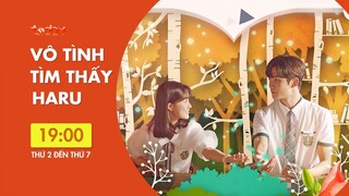 Trailer Vô Tình Tìm Thấy Haru - Lồng Tiếng