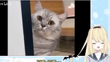 Japanese JK as cute as Meow Meow