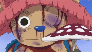 [One Piece/Chopper/Tear Jerker] Chopper, kamu akan menjadi dokter terbaik, aku janji