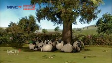 MNCTV HD • SHAUN THE SHEEP • SWIMMING POOL HOT SUN • PART 01 • MINGGU 20 JANUARI 2025