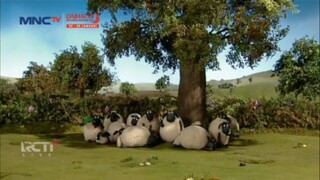 MNCTV HD • SHAUN THE SHEEP • SWIMMING POOL HOT SUN • PART 01 • MINGGU 20 JANUARI 2025