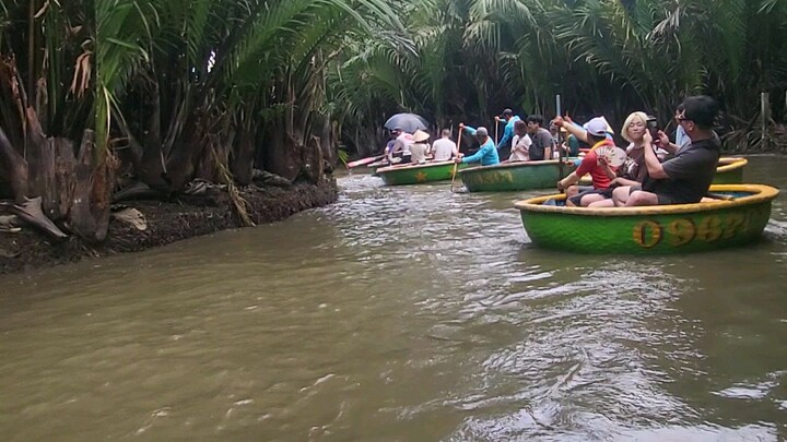 Rừng dừa Bảy Mẫu