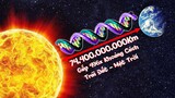 #198 Những Sự Thật Nổ Não Về Cơ Thể Con Người (P6) | Sợi DNA Siêu Dài Khổng Lồ!