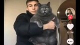 This is the second largest cat I've ever seen