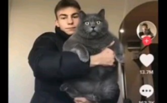 This is the second largest cat I've ever seen