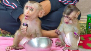 So Lovely!! Wow how beautiful they are when adorable Toto & Yaya enjoy eating fresh fruit together