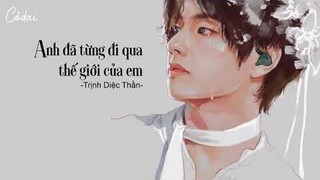 [Vietsub + Pinyin] Anh đã từng đi qua thế giới của em - Trịnh Diệc Thần / 你的世界我曾来过