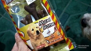 #food,Maxi bone try namin kay Tuffy kung magustuhan nya,@Gina Lubang