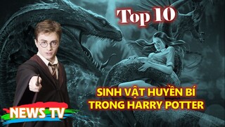 Top 10 sinh vật huyền bí trong Harry Potter